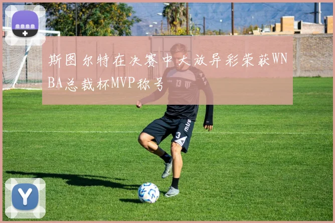 斯图尔特在决赛中大放异彩荣获WNBA总裁杯MVP称号